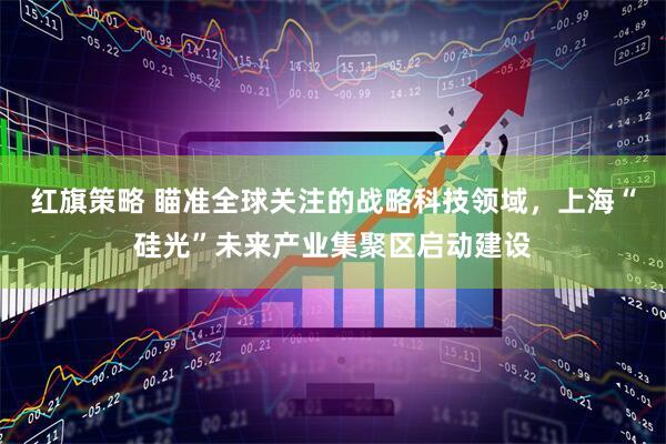 红旗策略 瞄准全球关注的战略科技领域，上海“硅光”未来产业集聚区启动建设
