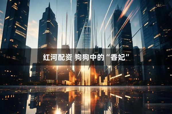 红河配资 狗狗中的“香妃”