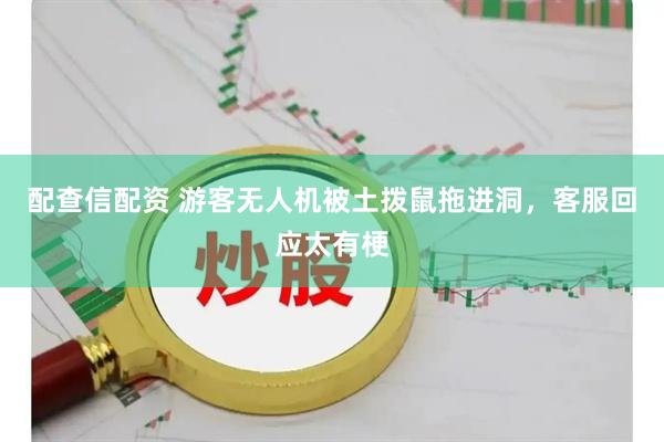 配查信配资 游客无人机被土拨鼠拖进洞，客服回应太有梗