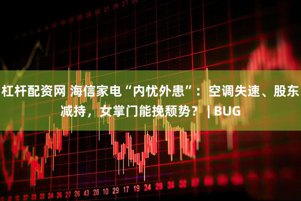 杠杆配资网 海信家电“内忧外患”：空调失速、股东减持，女掌门能挽颓势？ | BUG