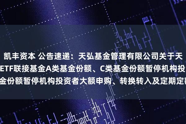 凯丰资本 公告速递：天弘基金管理有限公司关于天弘中证红利低波动100ETF联接基金A类基金份额、C类基金份额暂停机构投资者大额申购、转换转入及定期定额投资业务