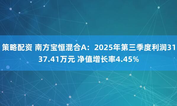 策略配资 南方宝恒混合A：2025年第三季度利润3137.41万元 净值增长率4.45%