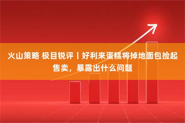 火山策略 极目锐评丨好利来蛋糕将掉地面包捡起售卖，暴露出什么问题